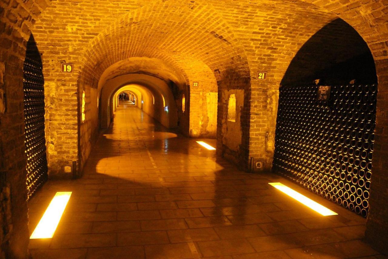 Hotel De Champagne Épernay Kültér fotó